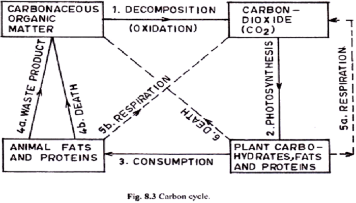 carbon decomposition