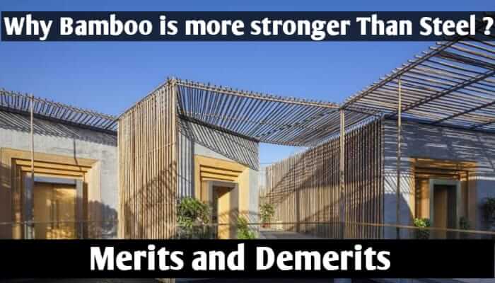 Why bamboo is more stronger than steel ?